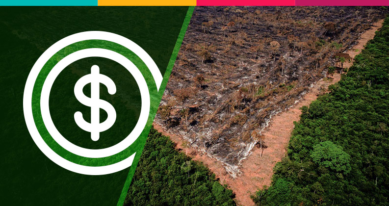 Bancos financiam desmatamento e agora, após pressão internacional, “denunciam” o problema