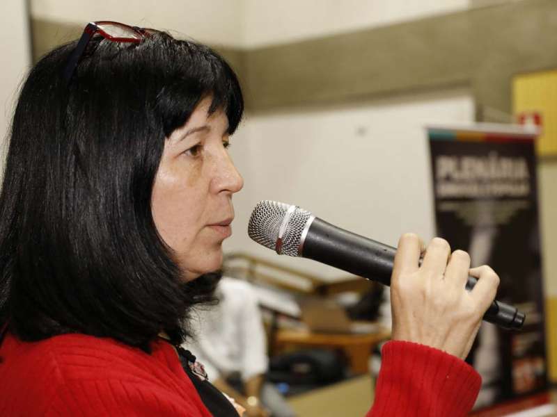 plenria sindical e popular 08nov dino santos 88